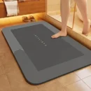 Diatomaceous Earth Bath Mat – Absorbent, Fast-Drying Bathroom Floor Mat